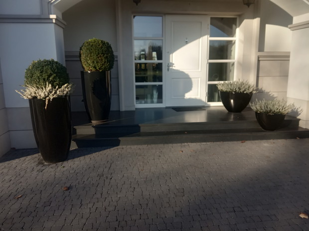 Wrzosy przed wejściem