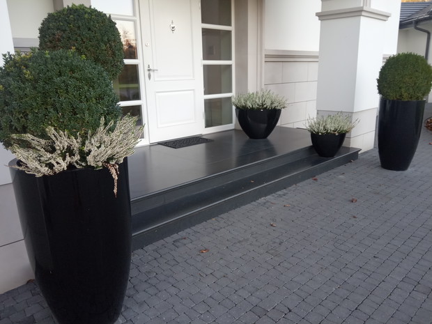 Wrzosy przed wejściem