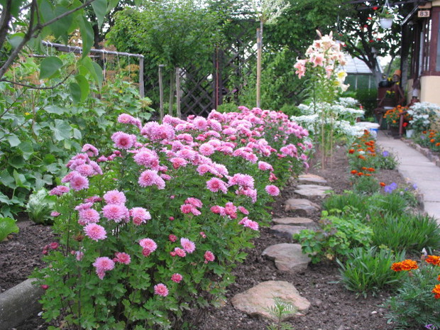 Wzdłuż kamiennej ścieżki