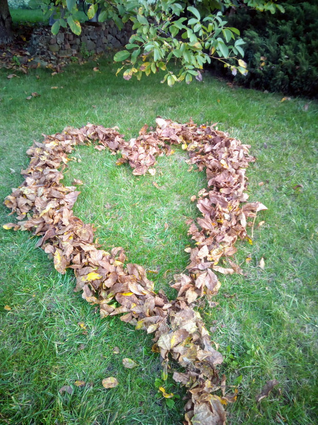Z miłości dla ogrodu.