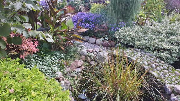 Astry, trzmielina oskrzydlona to mocne akcenty w tej okolicy