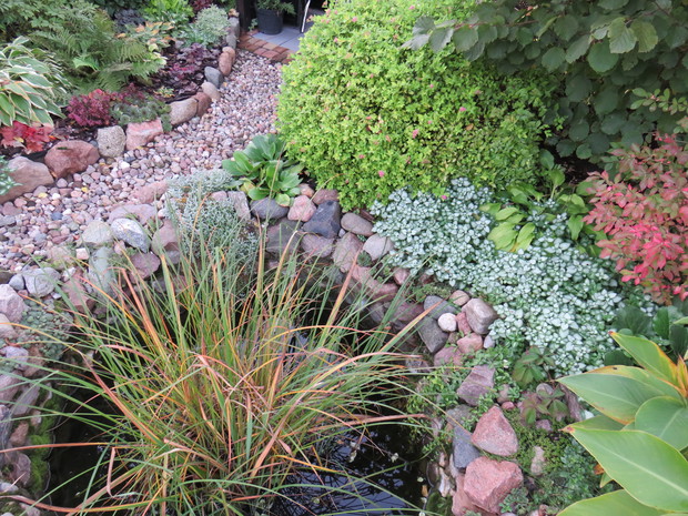 Coraz więcej przebarwień