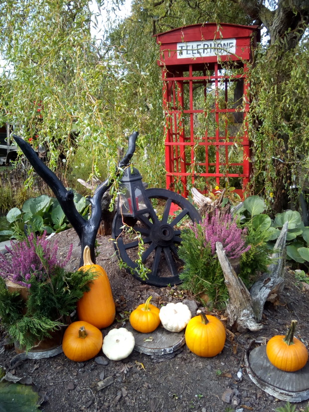 Dekoracyjnie z darami z warzywniaka.