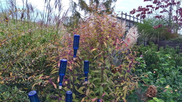 Drugie życie butelek