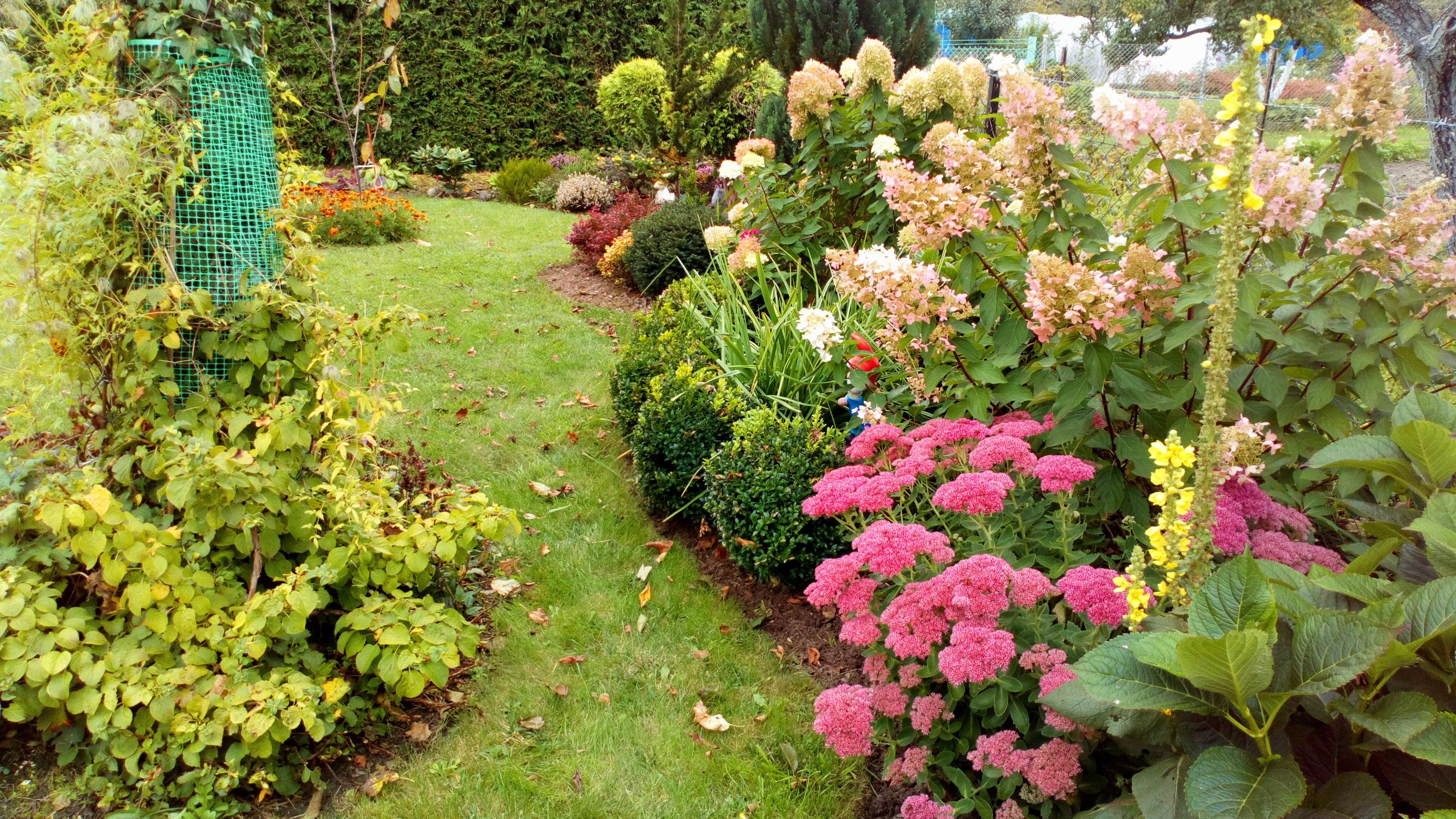 Jesień w moim ogrodzie