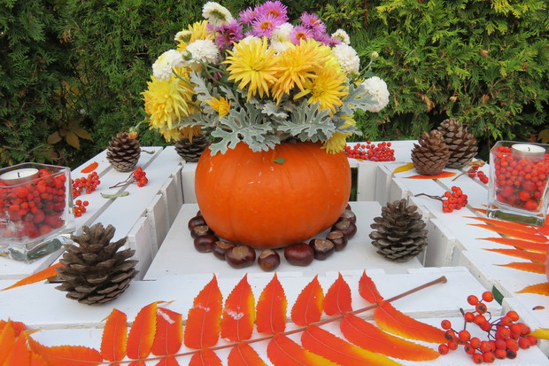 Jesienna kompozycja w dyni