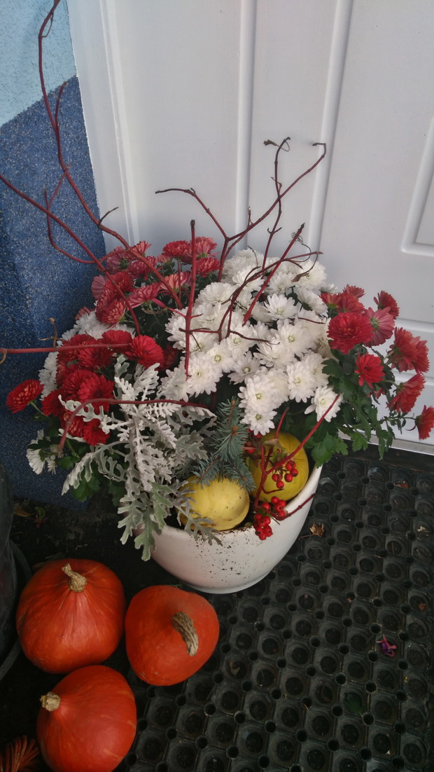 Jesienna kompozycja ze złocieniami