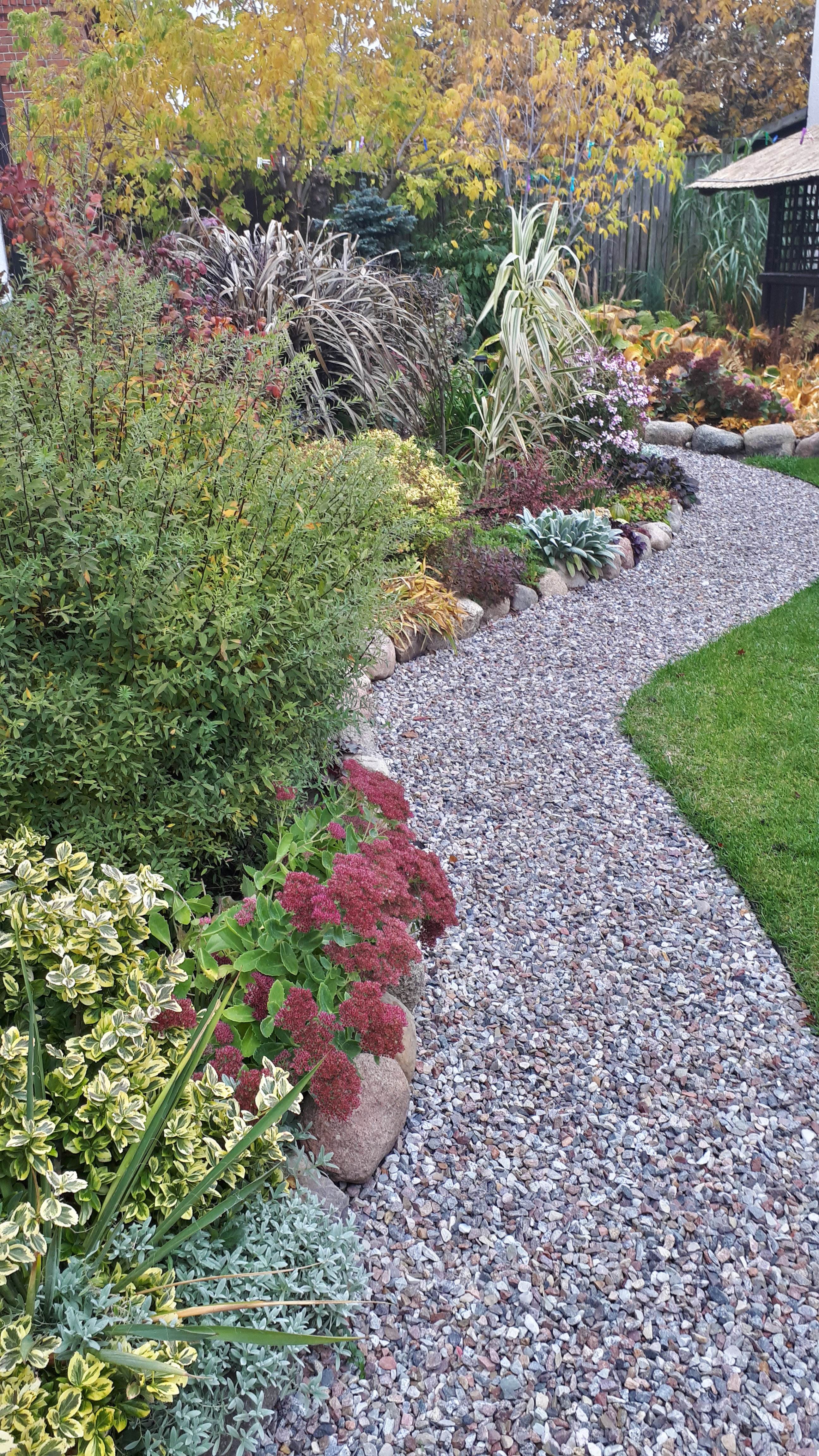 Jesienna rabata, połowa października