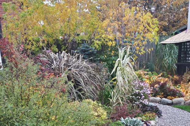 Jesienna rabata, połowa października