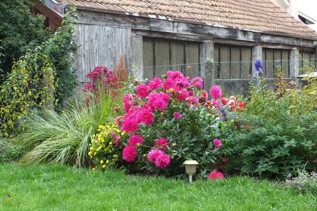 Jesienna rabata z daliami