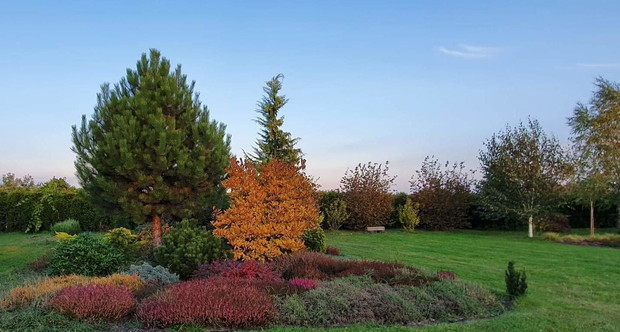 Jesiennie na wrzosowisku