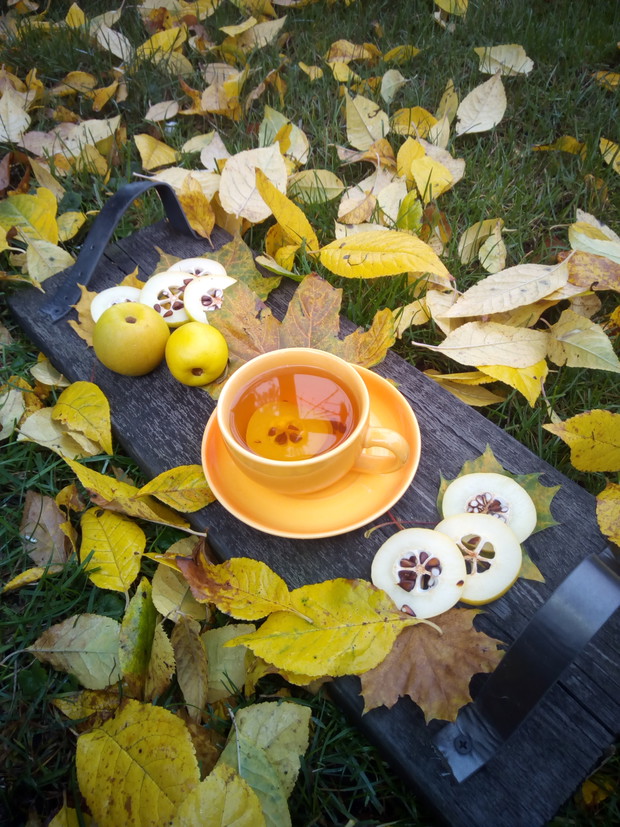 Mały relaksik w ogrodzie.