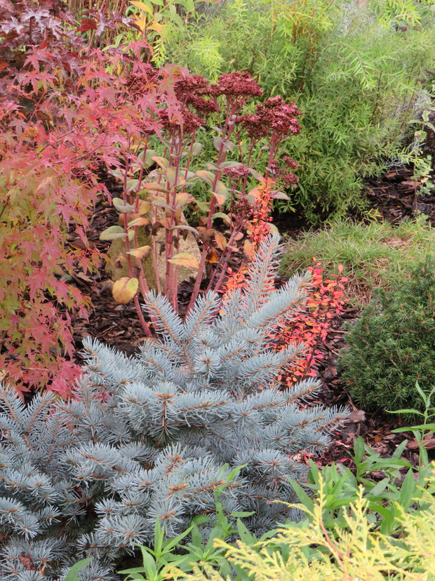 ogniste kolory na rabacie