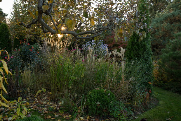 Rabata pod starą papierówką.