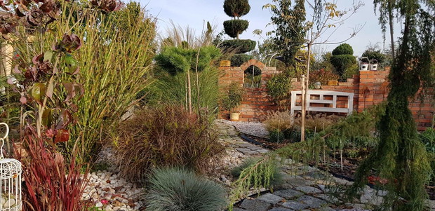 Trawy w jesiennych barwach