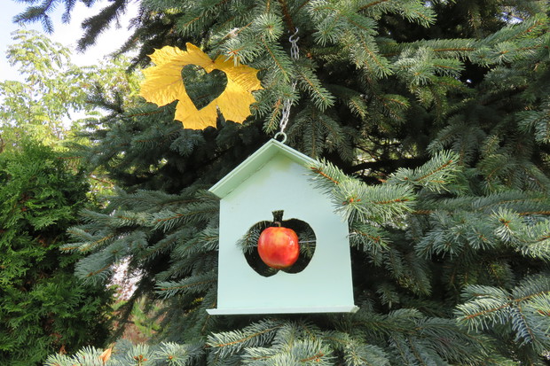 Własnoręcznie wykonany karmnik dla ptaków, to ważny element