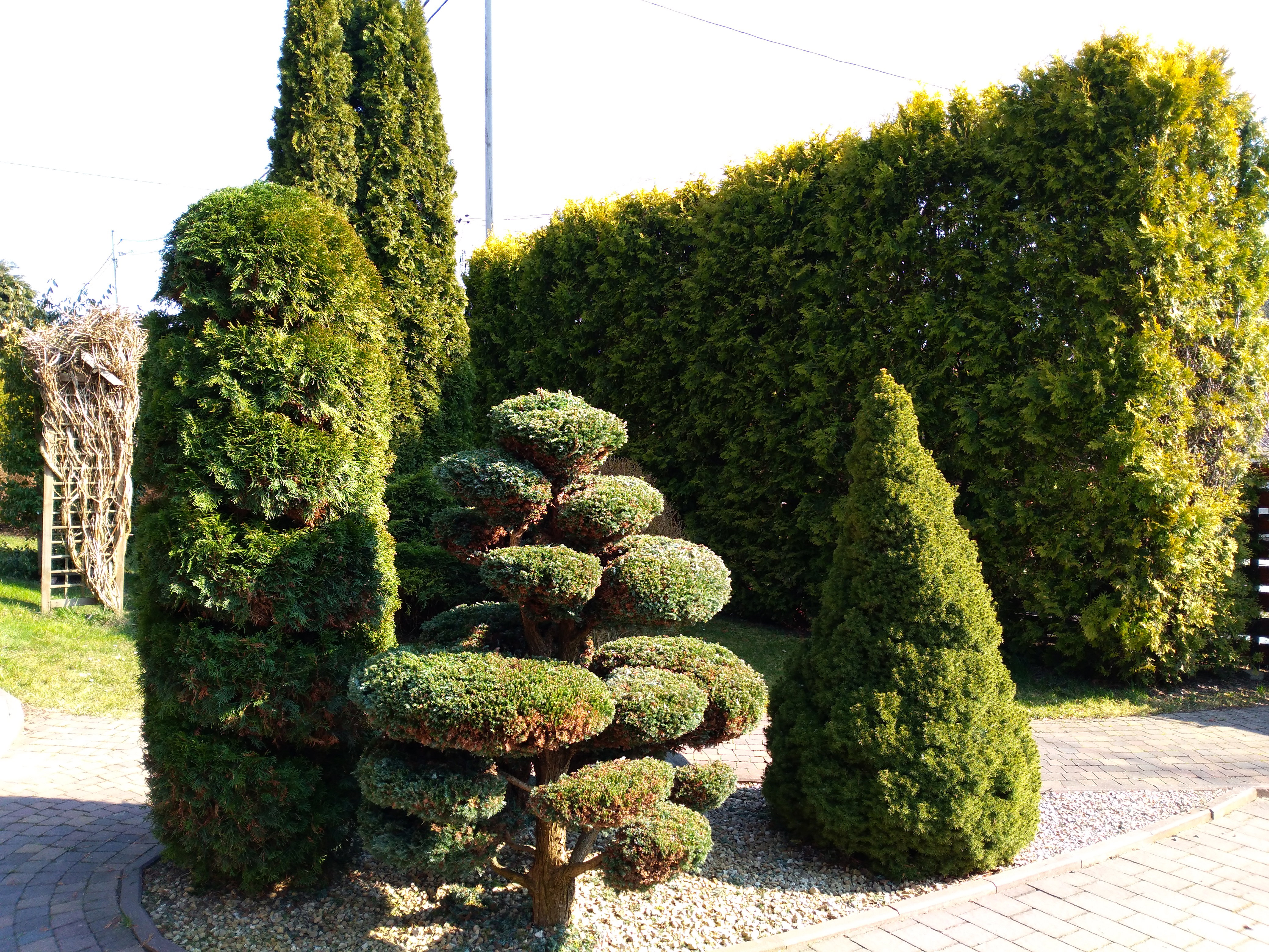 Formowanie i przycinanie.