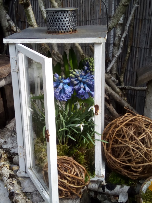 Latarnia...wypełniona zwiastunami wiosny.