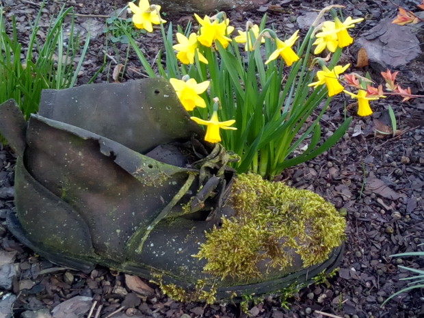 Na rabacie...but pochłonięty przez naturę..
