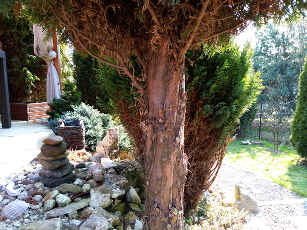 Pierwsze nieśmiałe promienie słońca,muskają delikatnie  taras, na którym chętnie wypoczywamy.