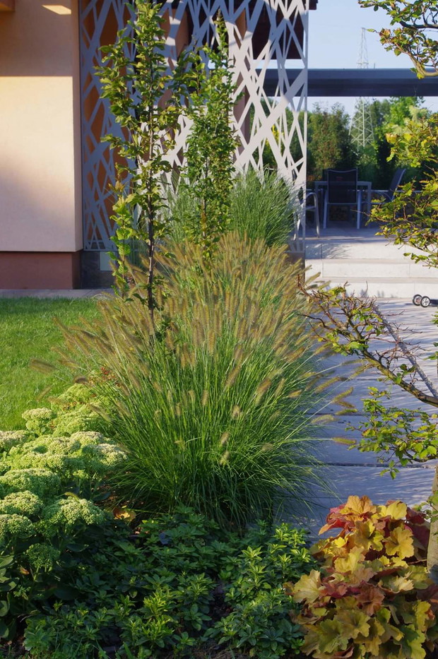 Rosliny wokół placyku