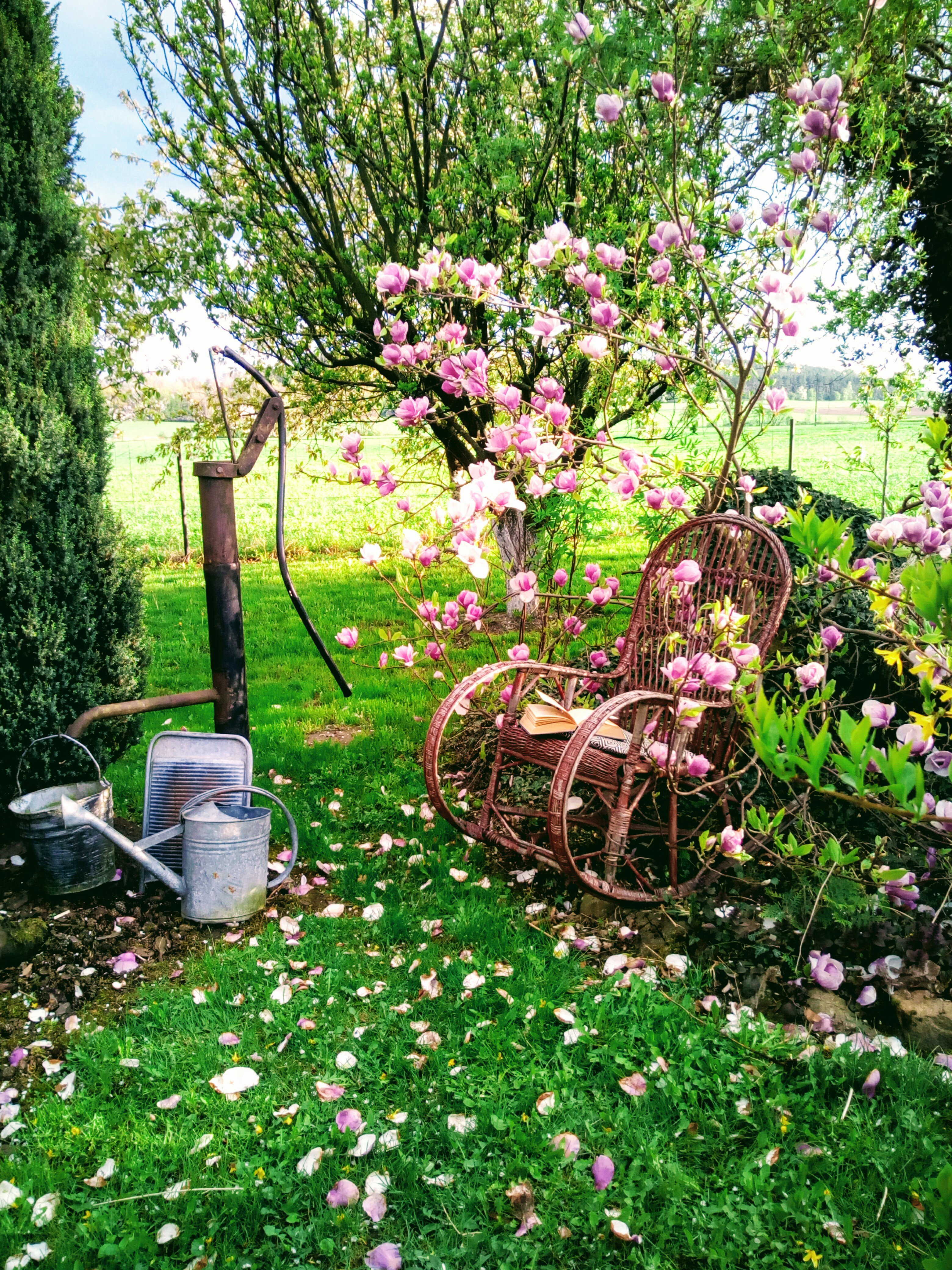 Kącik relaksu przy Magnolii.