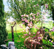 Kącik relaksu przy Magnolii.