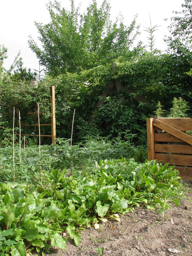 kompostownik - serce ogrodu