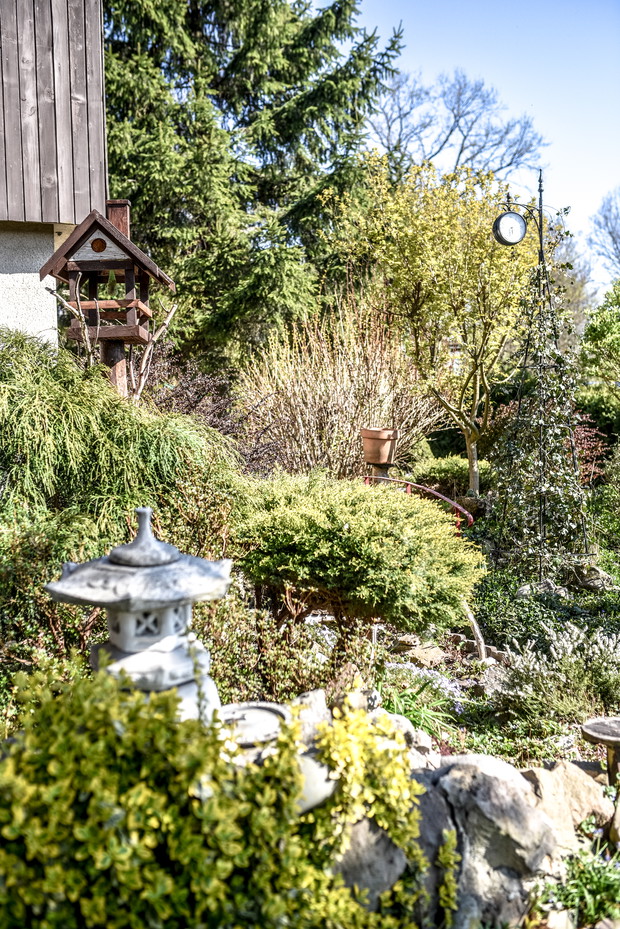 najstarsza część ogrodu