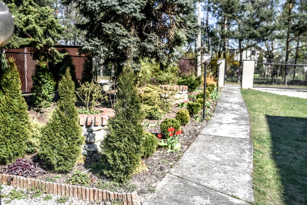 Ogród przy chodniku prowadzącym do domu