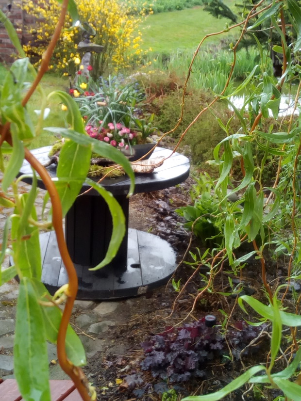 Wiosennie nad brzegiem stawku.