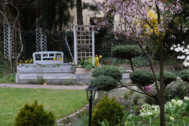 Wiosenny warzywnik w skrzyniach