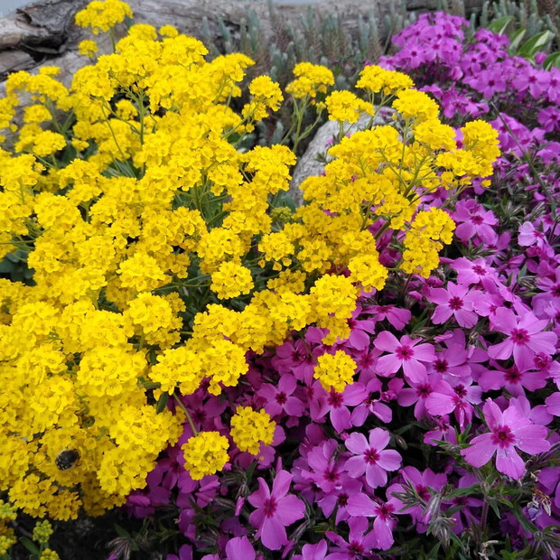 Energetyczne połączenie