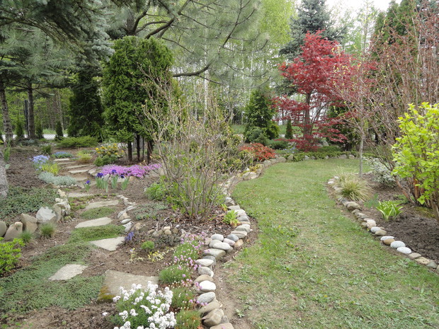 Rabata pod świerkami