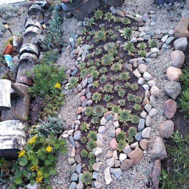 Rojnikowe aranżacje