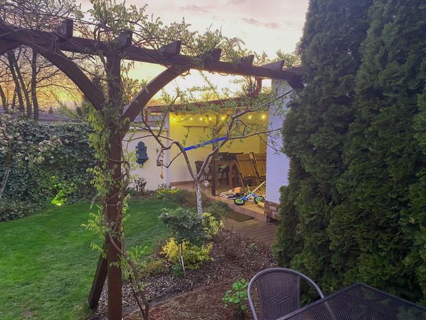 pergola z rozwijającą się wisterią