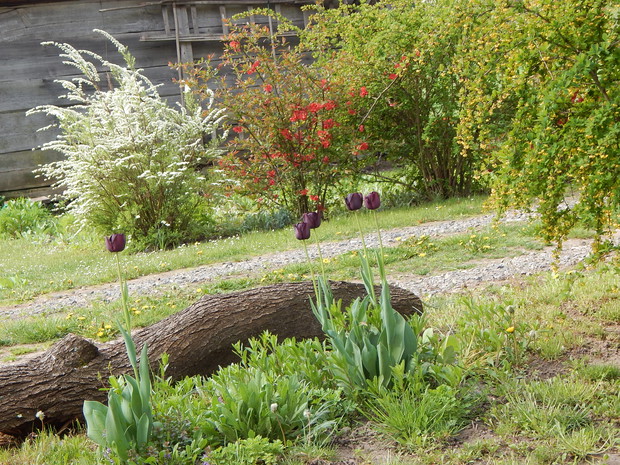 Przy ulicy wjazdowej