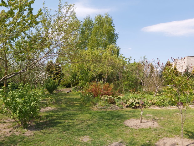Widok z sadu na ogród ozdobny
