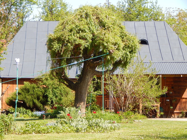 Wierzba ...centrum rekreacji