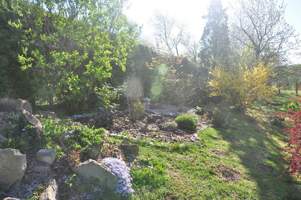 wiosna i ziacieniony zakątek