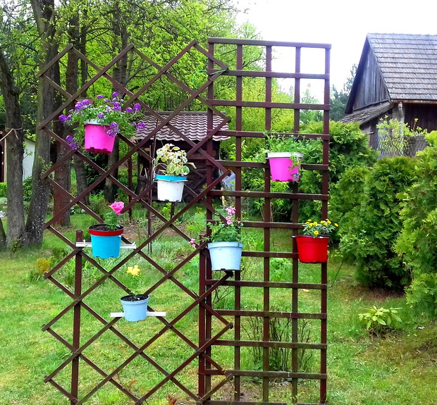 Doniczkowy eksperyment