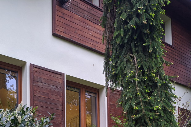 Inversa coraz wyższa