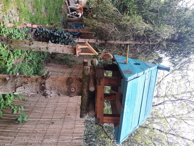 Stołówka czynna przez cały rok