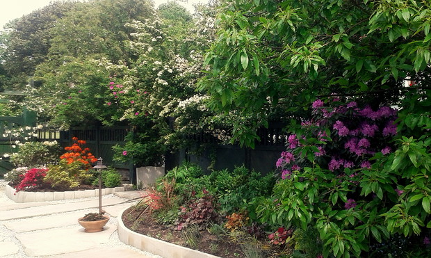 Wejście do naszego azylu