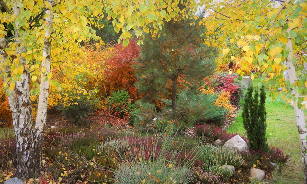 Wszystkie kolory jesieni