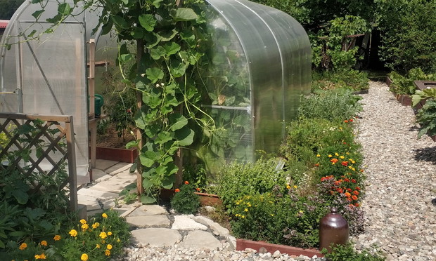 Ziołowa rabata przy tunelu