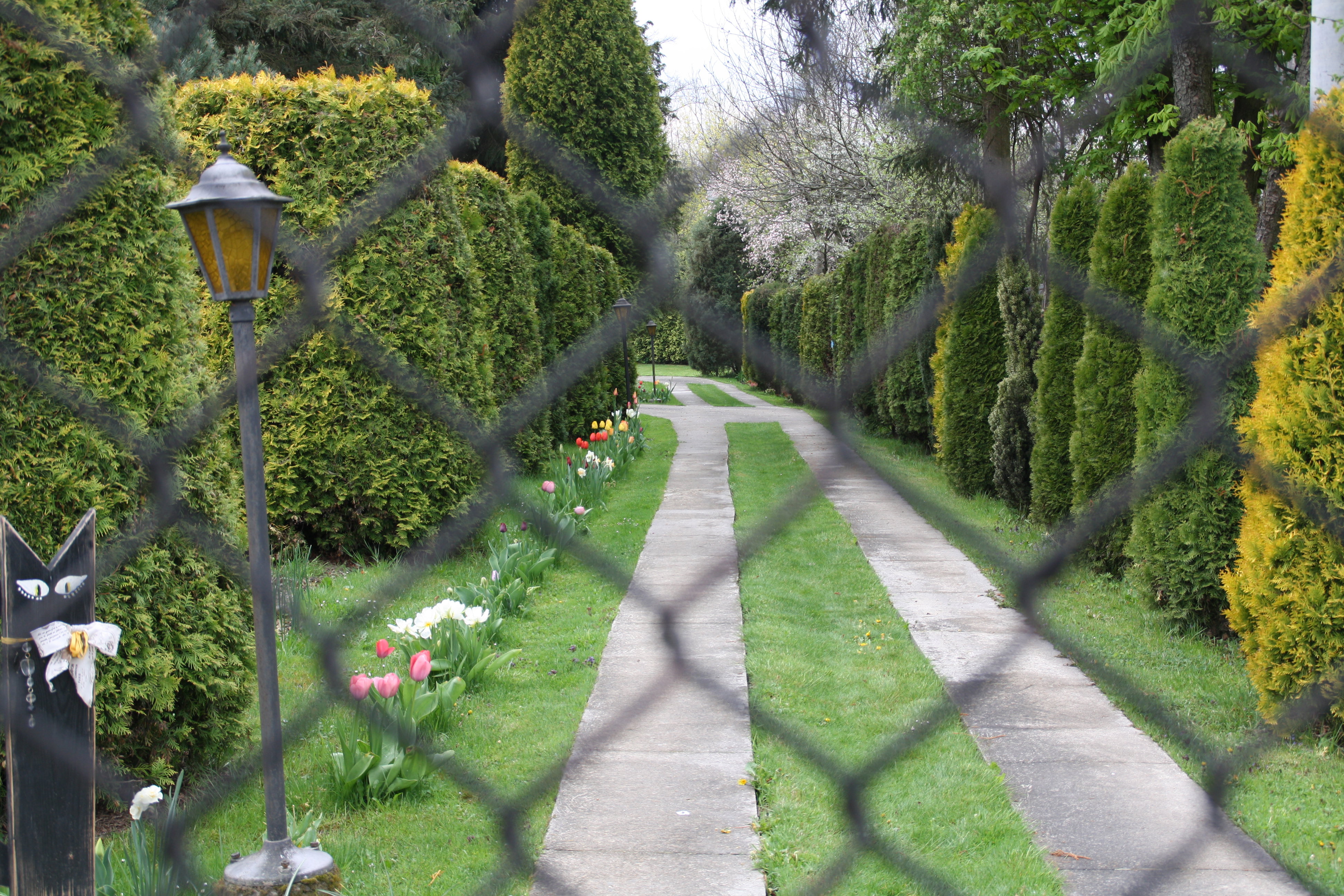 ''Od Jodłowej idzie wiosna"
