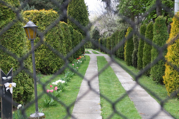 ''Od Jodłowej idzie wiosna"