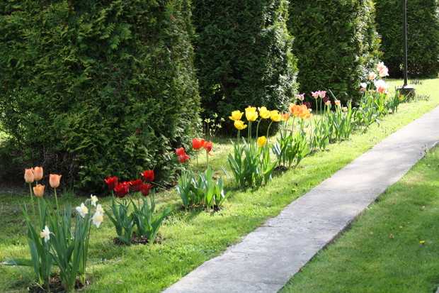 "Od Jodłowej idzie wiosna"