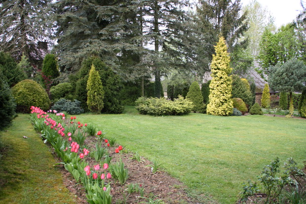 "Od Jodłowej idzie wiosna"